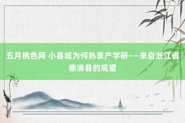 五月桃色网 小县城为何热衷产学研——来自浙江省德清县的观望