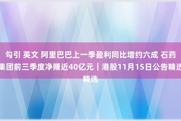 勾引 英文 阿里巴巴上一季盈利同比增约六成 石药集团前三季度净赚近40亿元｜港股11月15日公告精选