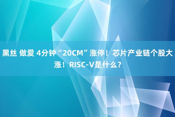 黑丝 做爱 4分钟“20CM”涨停！芯片产业链个股大涨！RISC-V是什么？