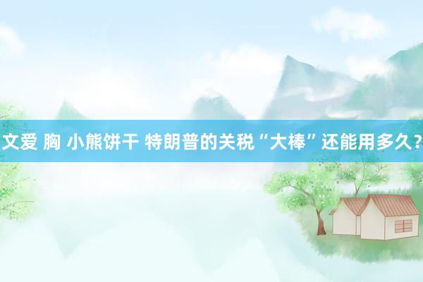 文爱 胸 小熊饼干 特朗普的关税“大棒”还能用多久？