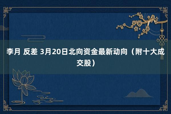 李月 反差 3月20日北向资金最新动向（附十大成交股）